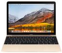 MacBook 12-inch (2017) Intel Core i5 1.3GHz in Space Grey