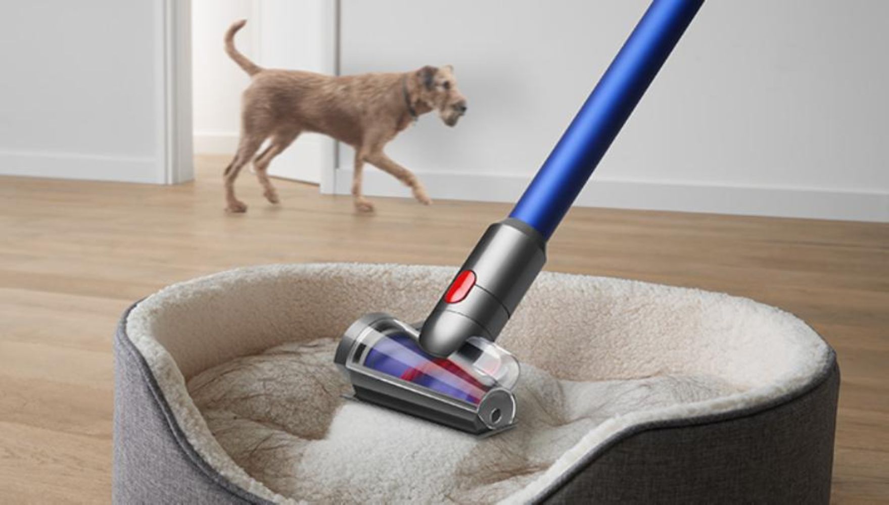 Dyson V11 Advanced Cordless Stick Vacuum Cleaner - Nickel/Purple
