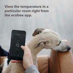 Ecobee SmartSensors for Indoor (2 Pack)