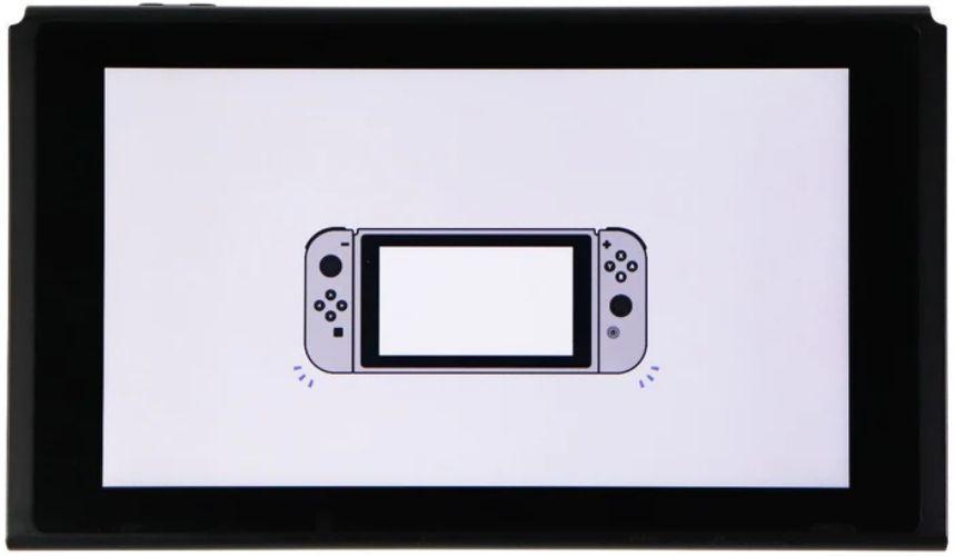 Nintendo Switch Handheld Gaming Console ONLY