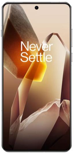 OnePlus 13