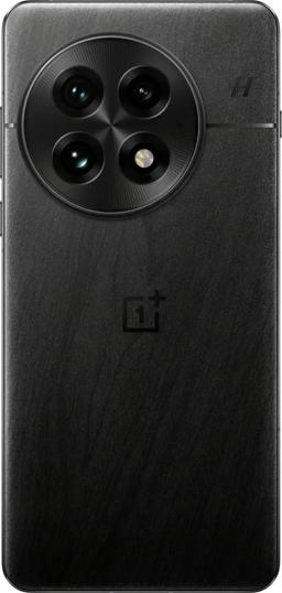 OnePlus 13