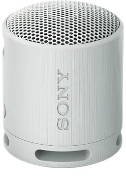 Sony SRS-XB100 Portable Wireless Speaker