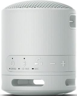 Sony SRS-XB100 Portable Wireless Speaker