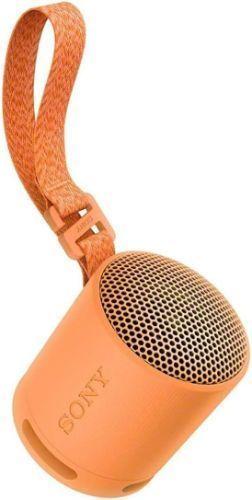 Sony SRS-XB100 Portable Wireless Speaker