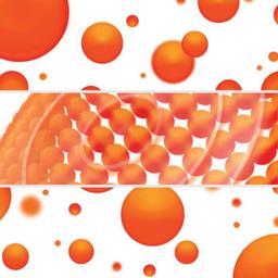 ZAGG Havana Series Phone Case for Apple iPhone 13 Pro